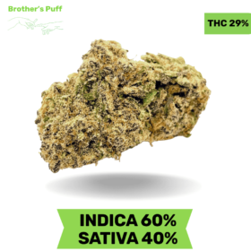 Girl Scout Cookies GSC AAAA