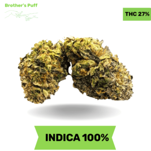 Big Zerm - 6ixotics AAAA Medium