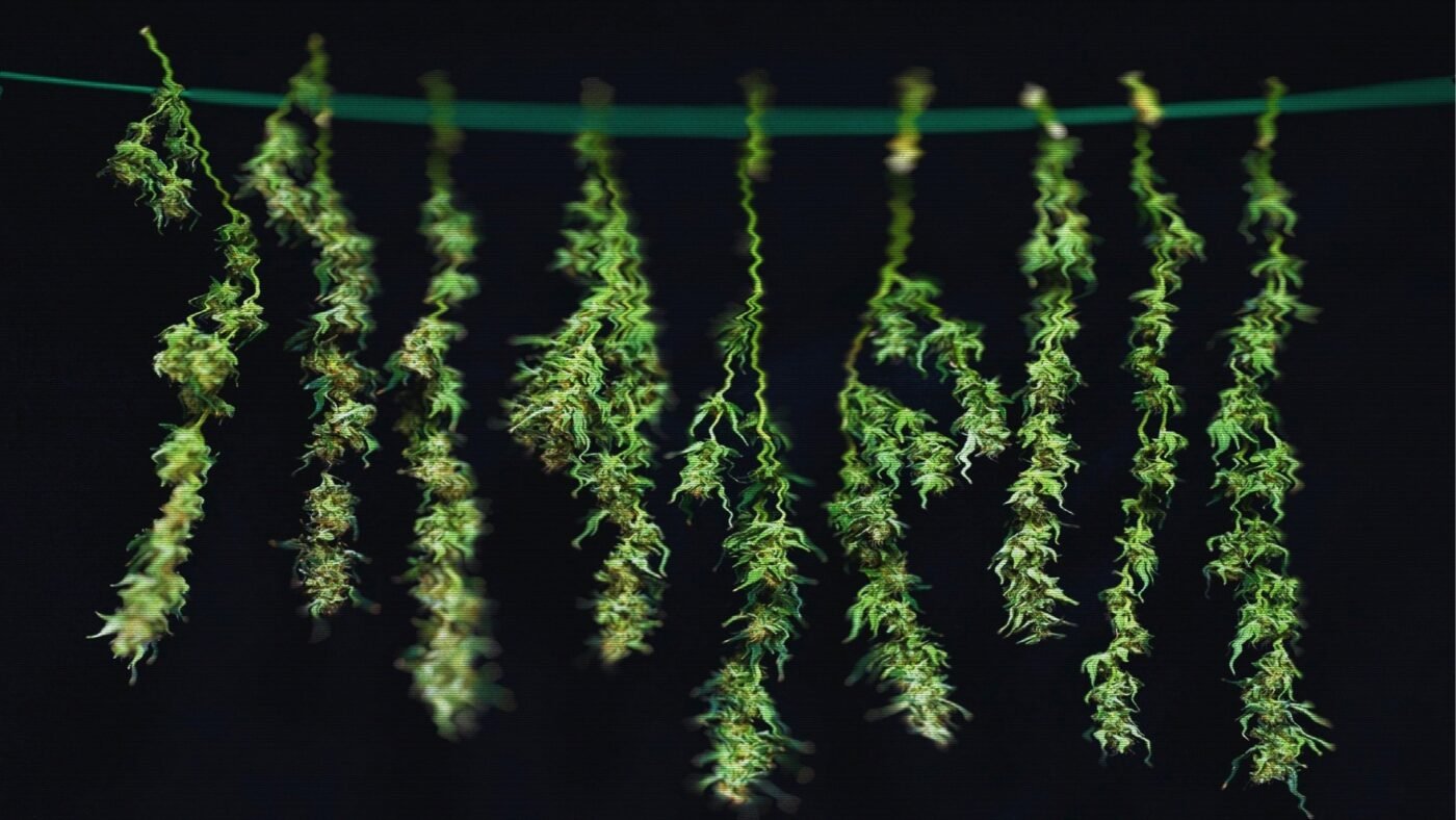 Untitled 1280 x 720 px 7