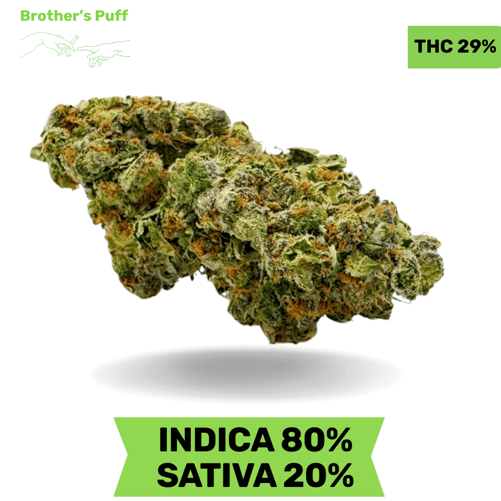 Organic Garry El Jefe AAAA