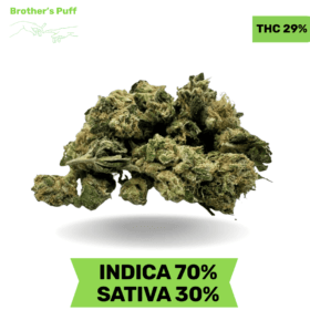 Organic Lemon Cherry smalls AAAA (SUPER DEAL)