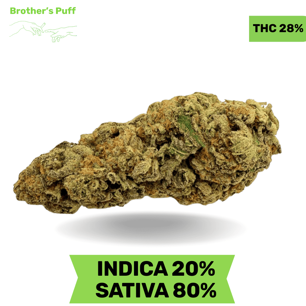 Black Cherry Soda AAAA