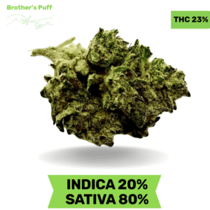 Super Silver Haze AA+