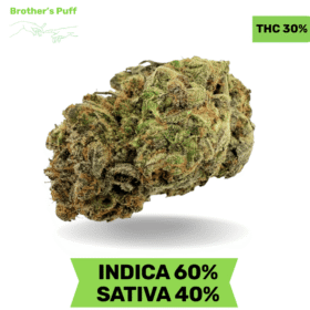 Vanilla Cream Pie AAAA+